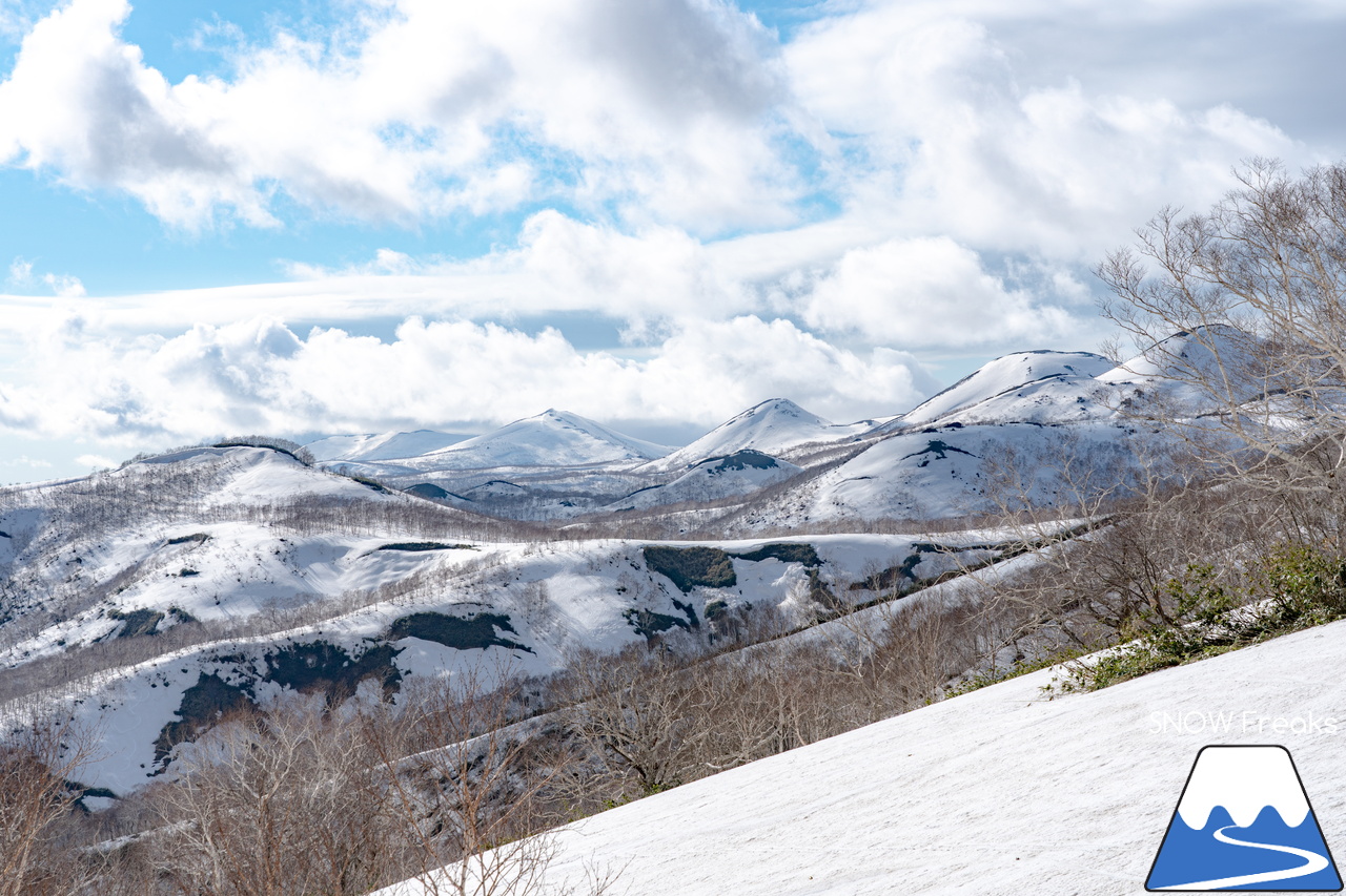 ニセコアンヌプリ国際スキー場｜さすがニセコ！山頂から山麓まで全長約4,000ｍのロング滑走可能です(^^)/